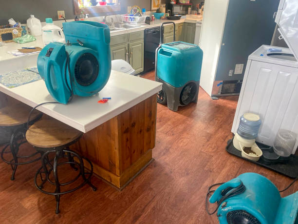 Best Residential water damage restoration  in Poinciana, FL