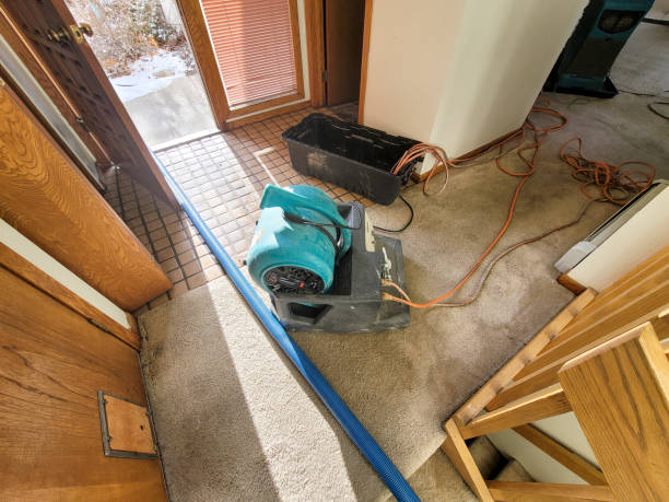 Best 24/7 water damage repair  in Poinciana, FL