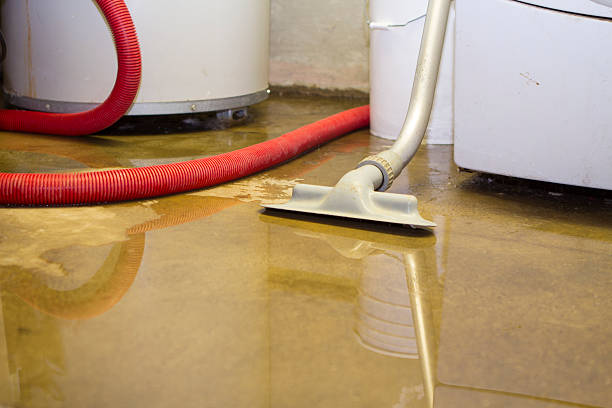 Best Local water damage restoration  in Poinciana, FL