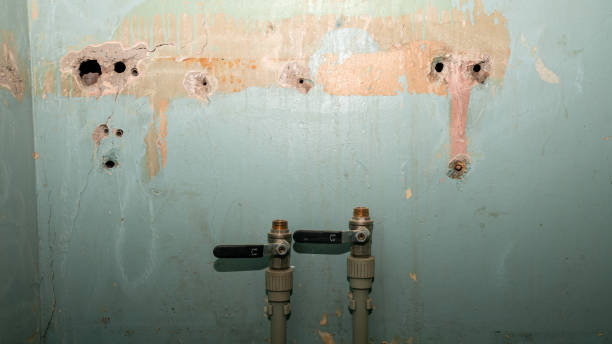 Best Commercial water damage restoration  in Poinciana, FL