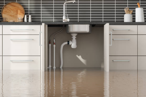 Best Professional water damage repair  in Poinciana, FL