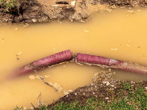 Professional Water damage restoration in Poinciana, FL