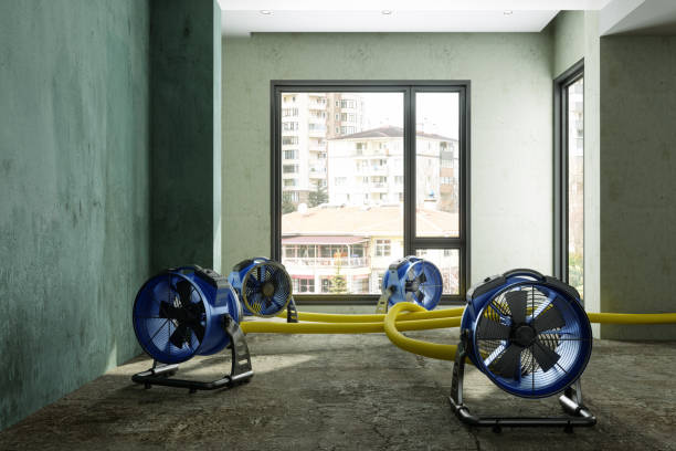 Water damage restoration mold remediation in Poinciana, FL